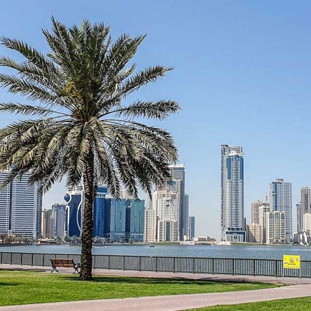 Sharjah City Tour With Guide