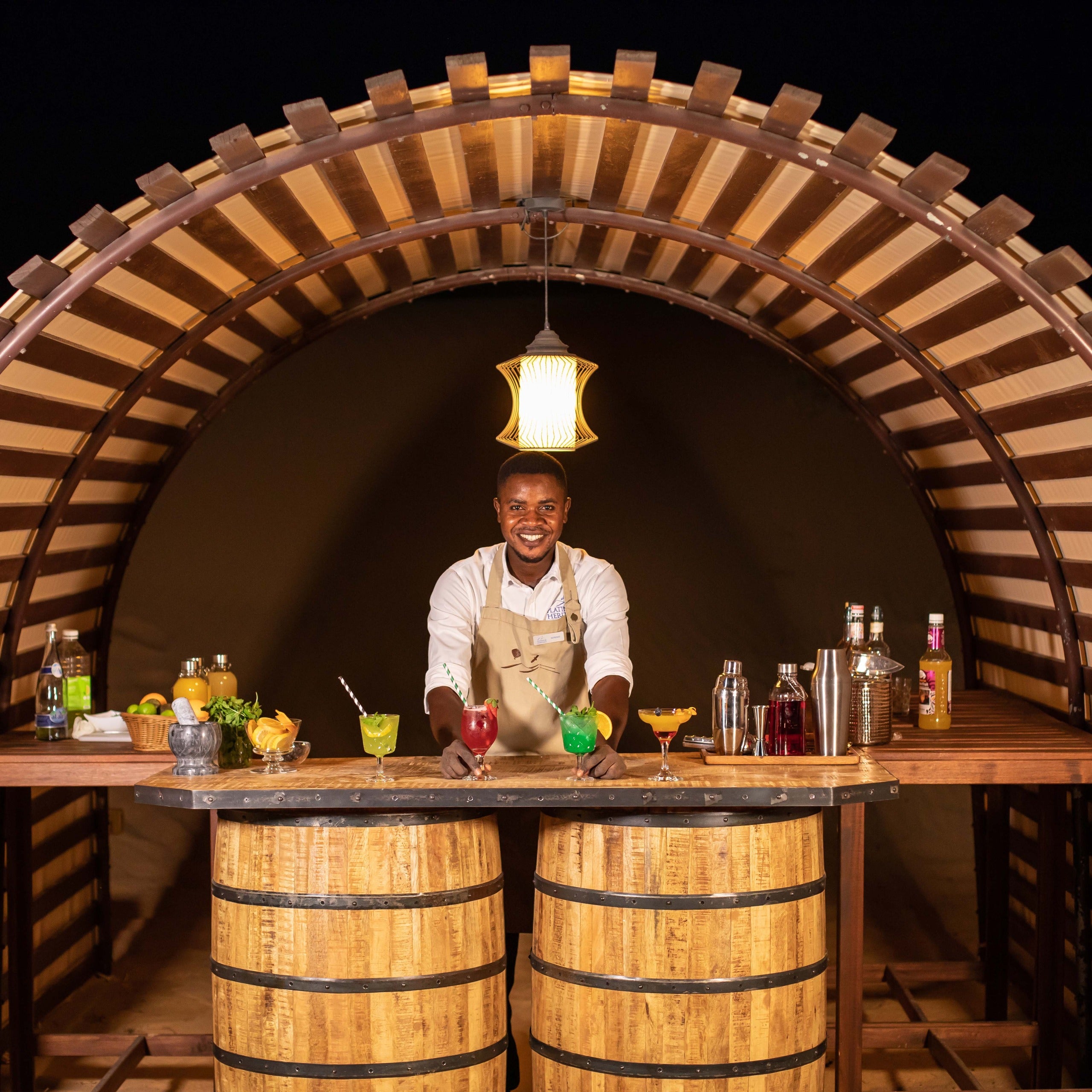 Platinum Desert Safari