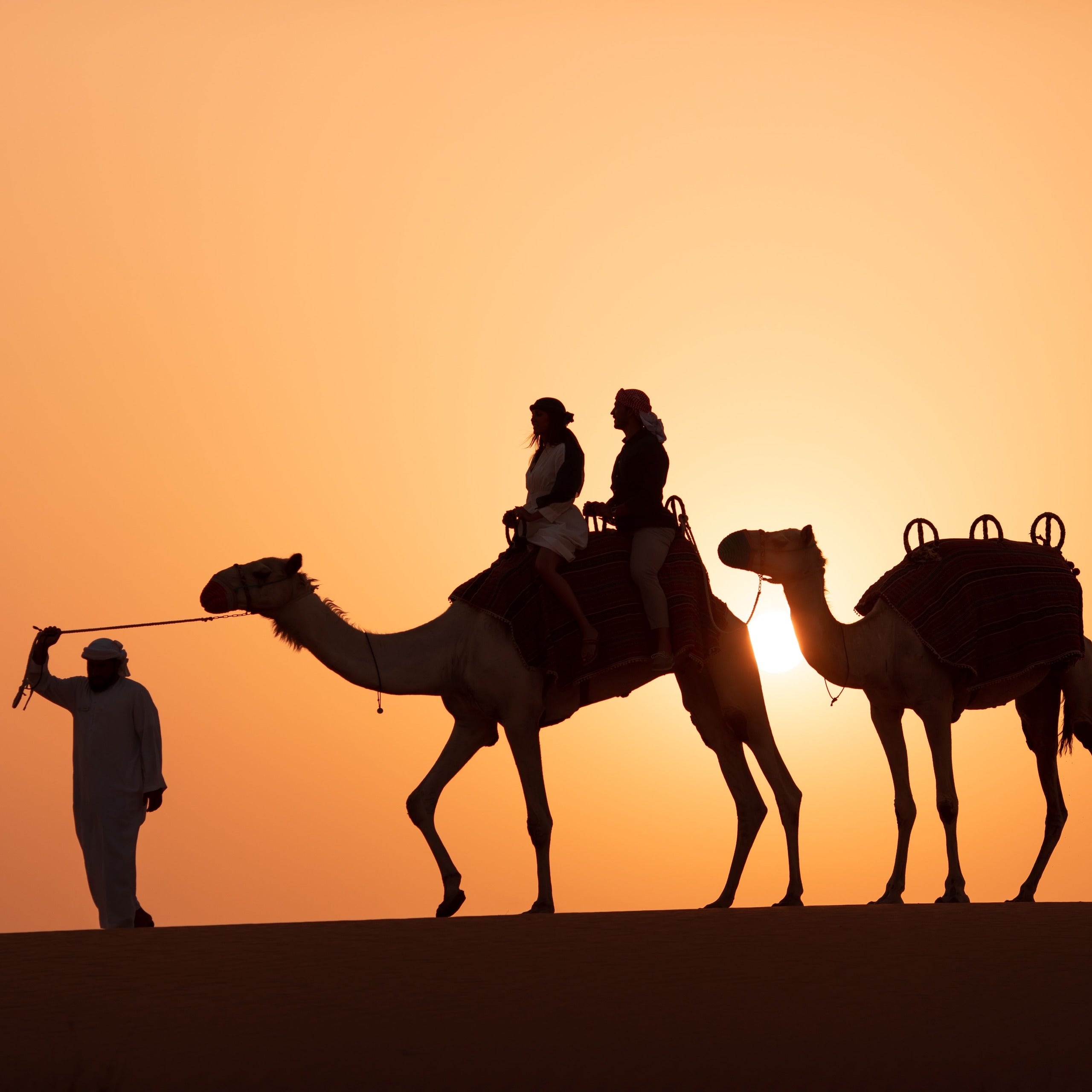 Platinum Desert Safari