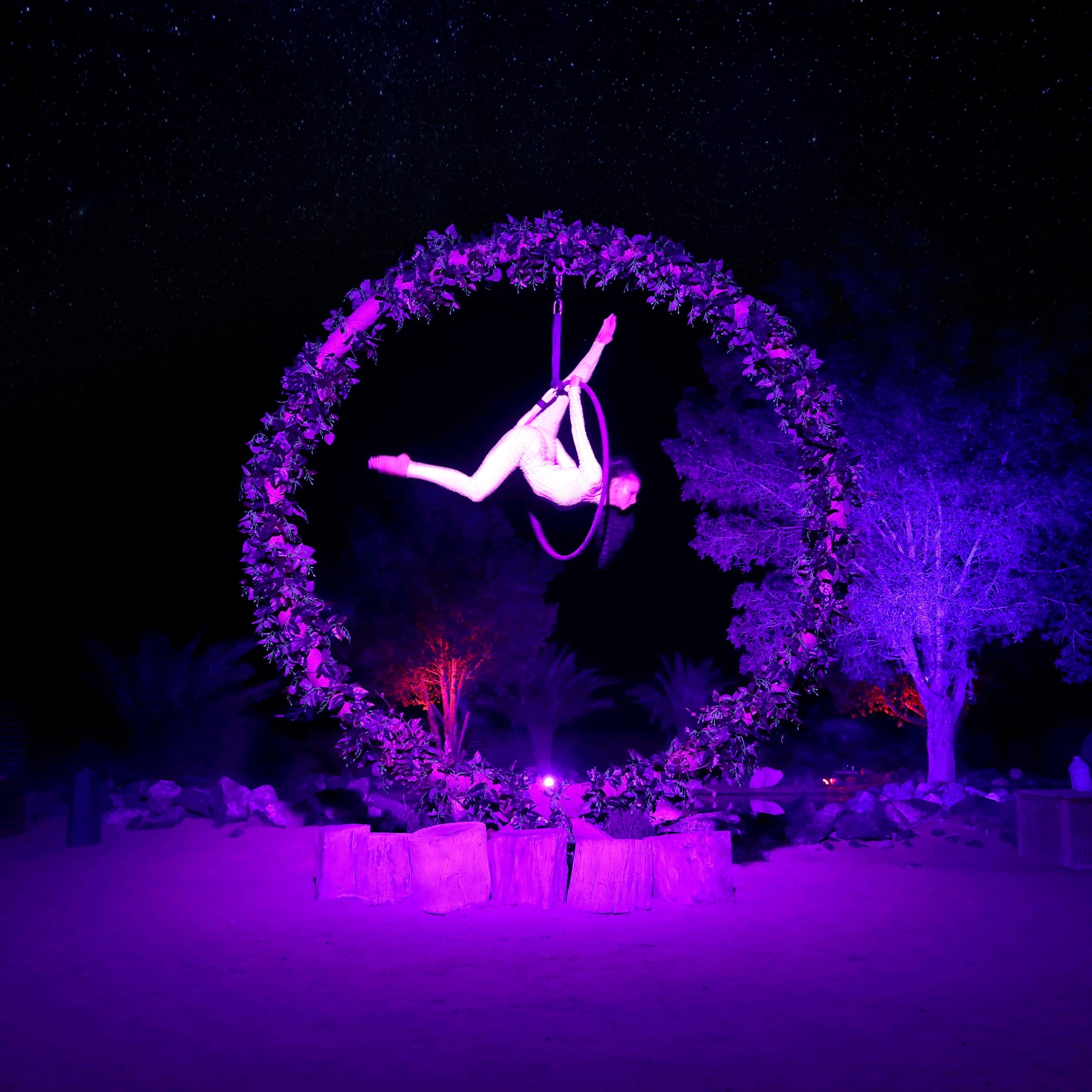 Platinum Desert Safari