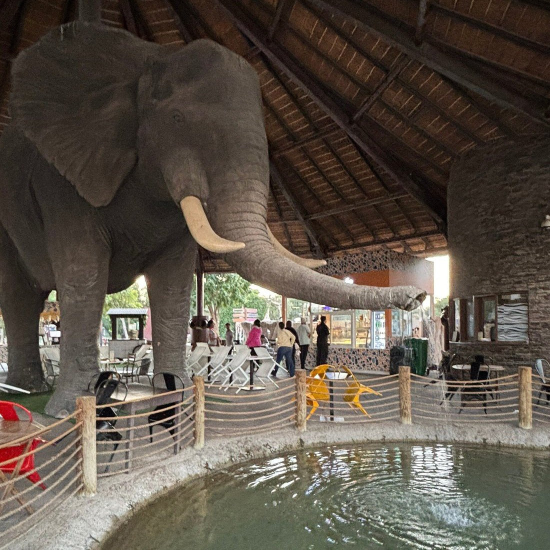 Safari Park Dubai Tickets