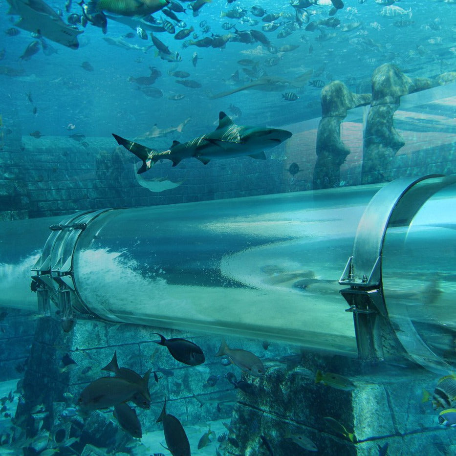 Atlantis Water Park Dubai Tickets