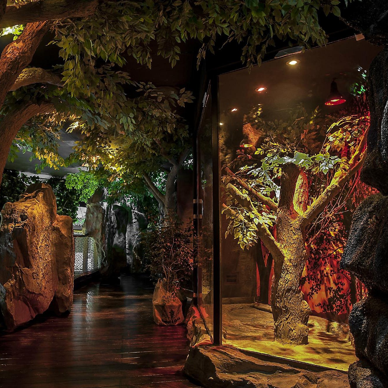 Dubai Aquarium and Underwater Zoo Tickets