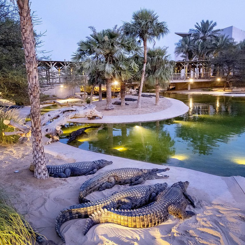 Crocodile Park Dubai Tickets