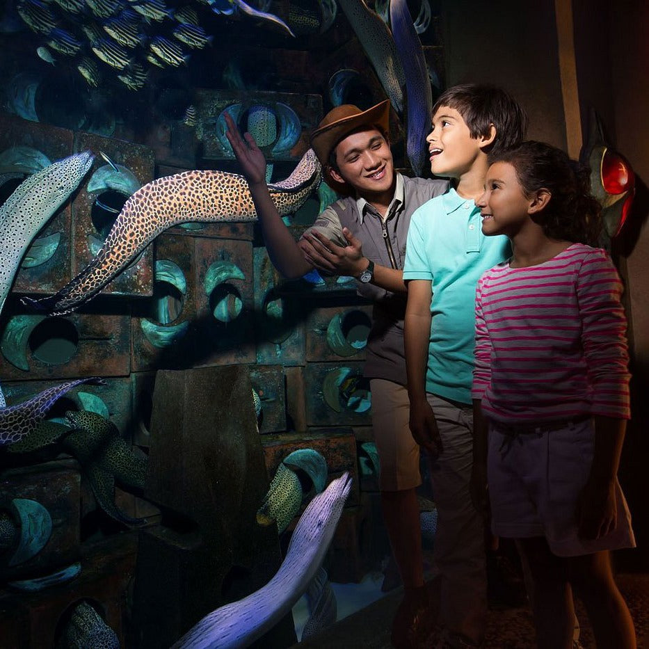 Lost Chambers Aquarium Dubai Tickets