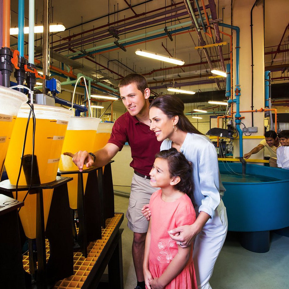 Lost Chambers Aquarium Dubai Tickets