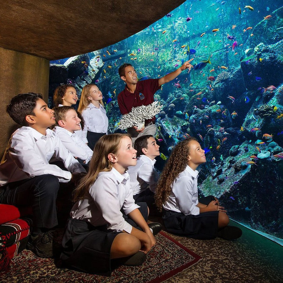 Lost Chambers Aquarium Dubai Tickets
