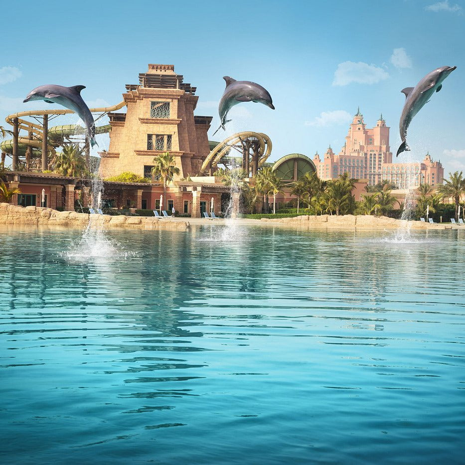 Dolphin Bay Dubai Tickets