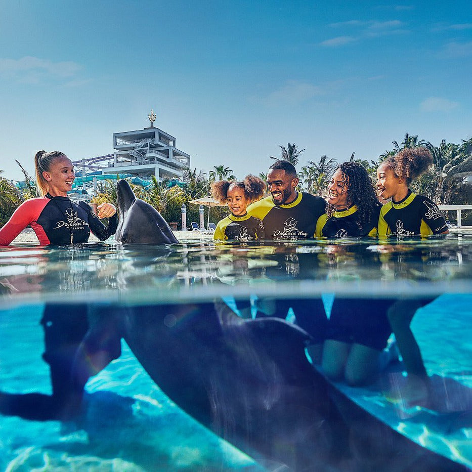 Dolphin Bay Dubai Tickets
