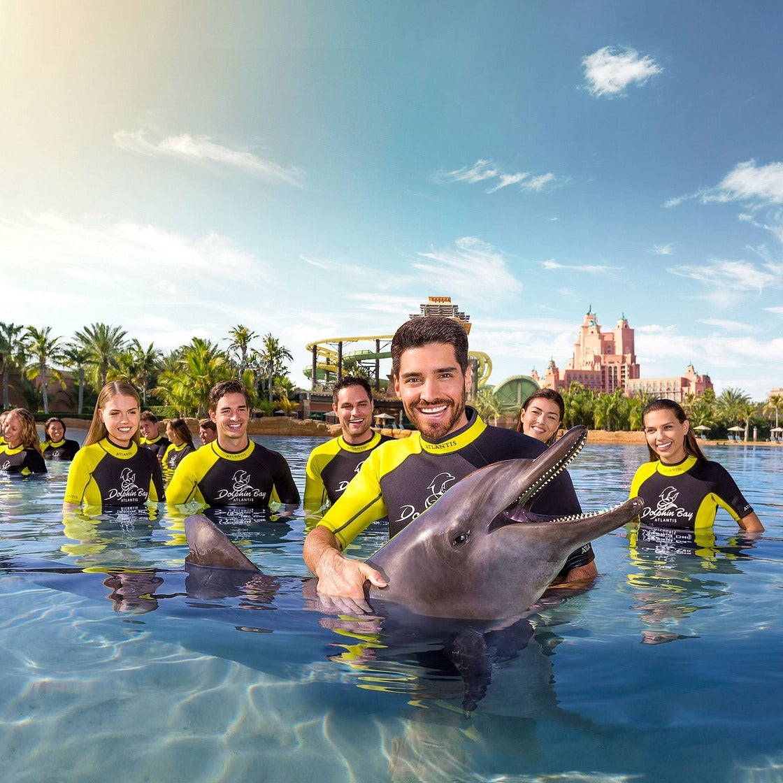 Dolphin Bay Dubai Tickets