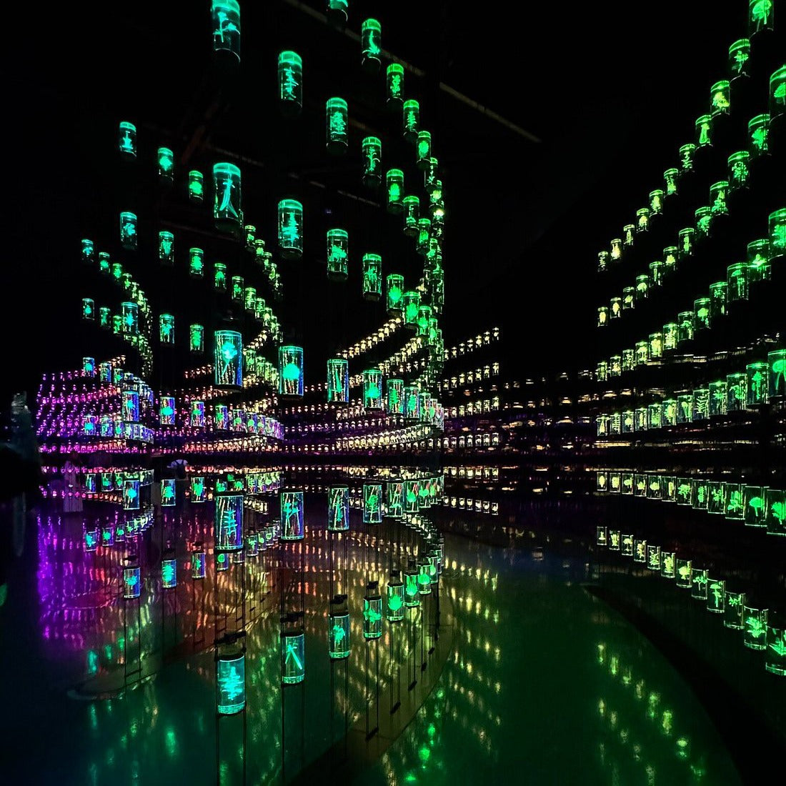 Museum of the Future Dubai Tickets