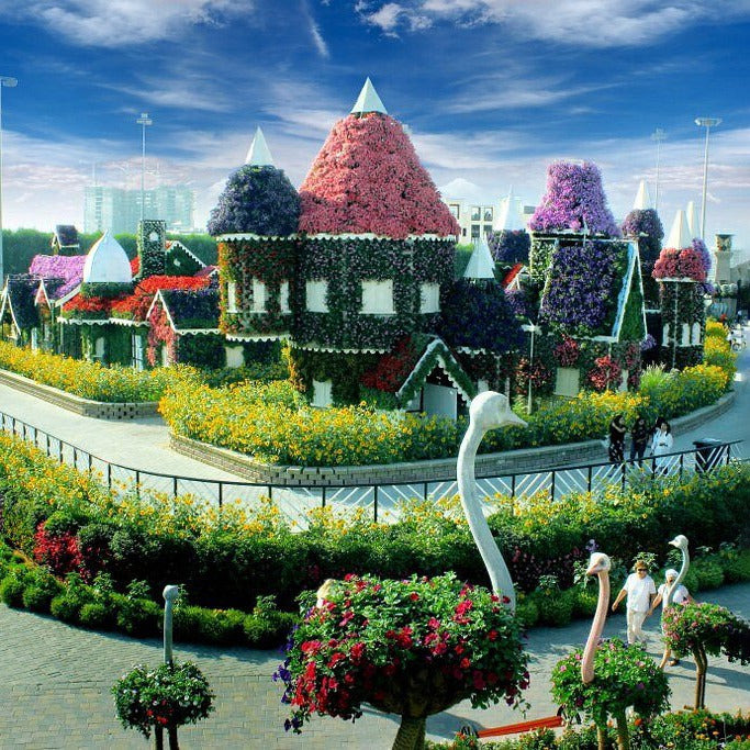 Dubai Miracle Garden Tickets