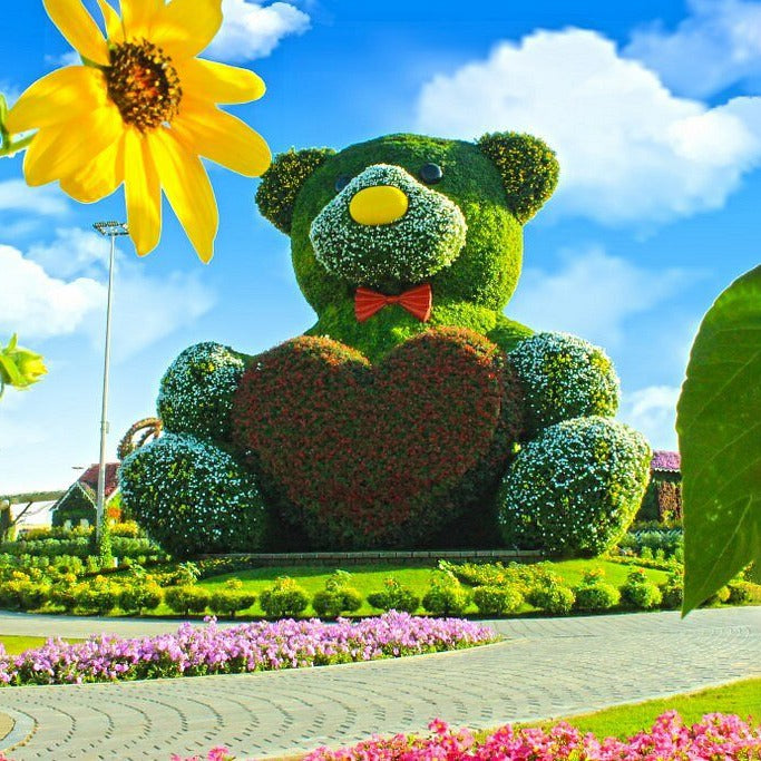 Dubai Miracle Garden Tickets