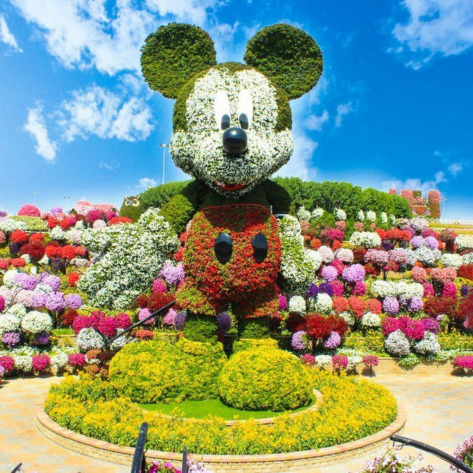 Dubai Miracle Garden Tickets