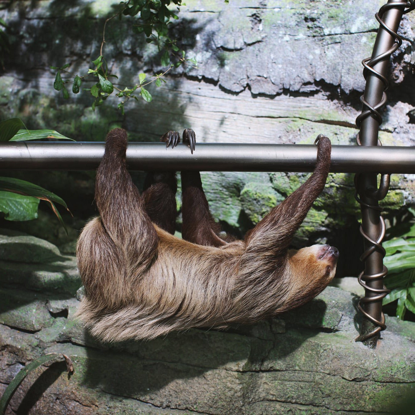 Green Planet Dubai Tickets