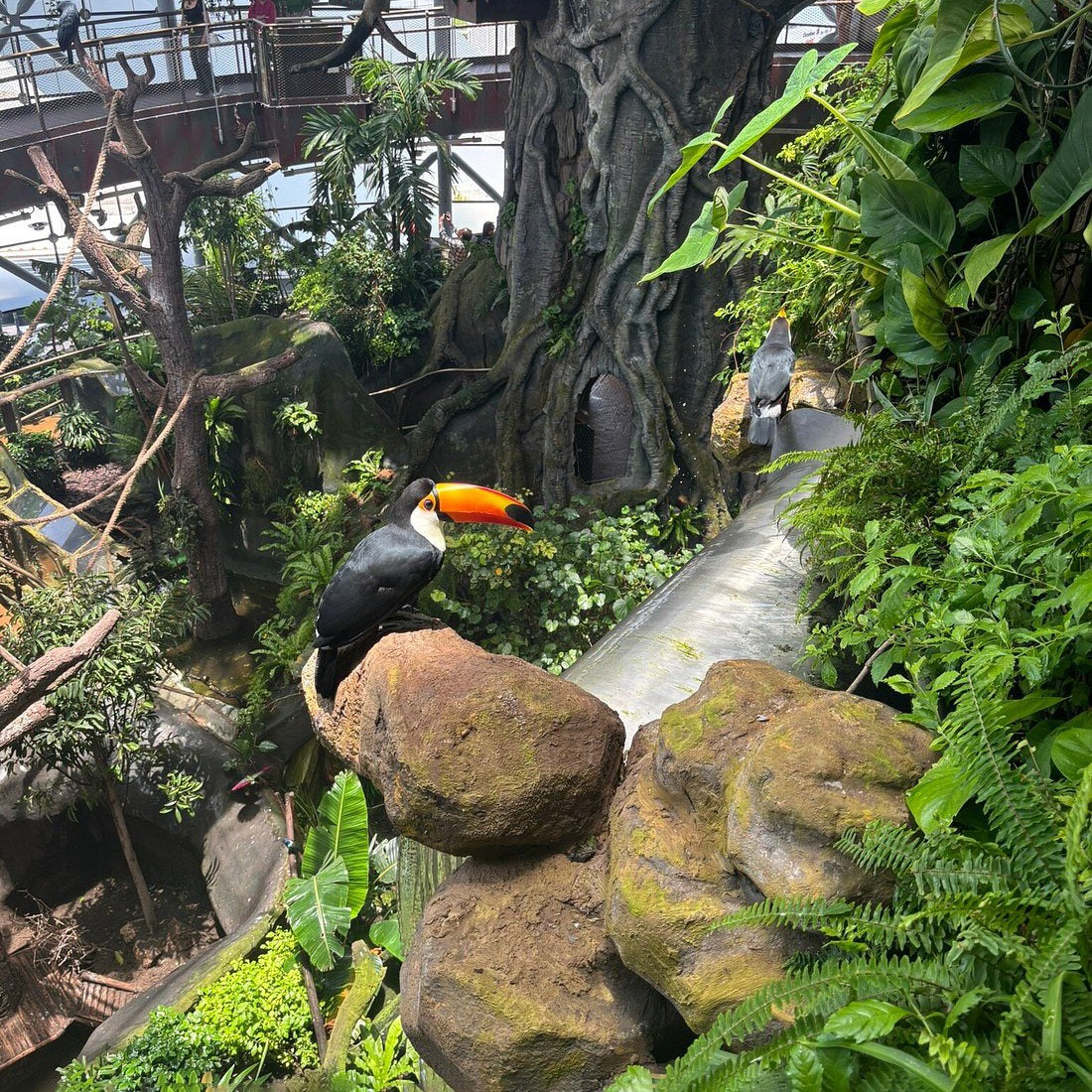 Green Planet Dubai Tickets