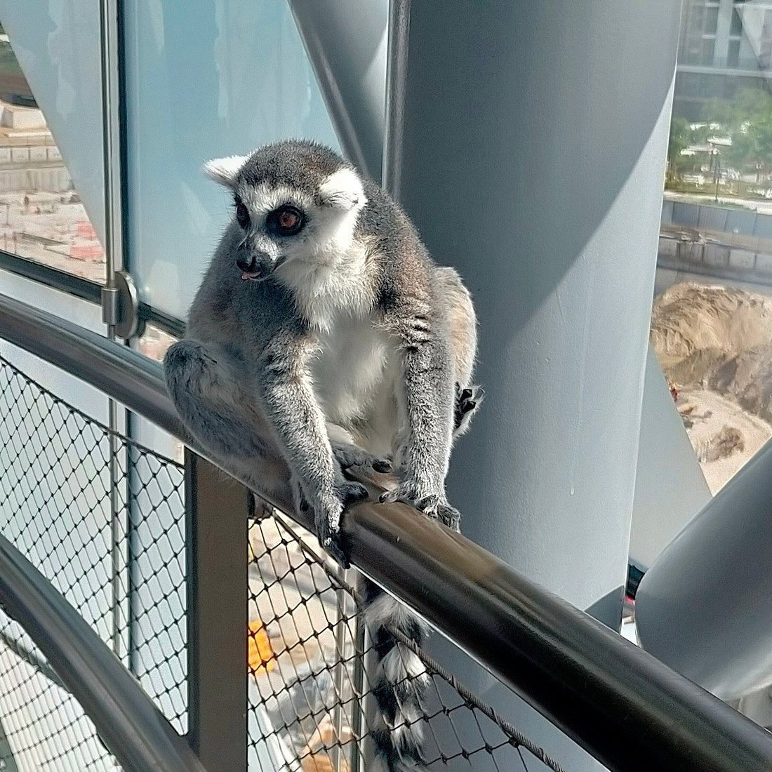 Green Planet Dubai Tickets