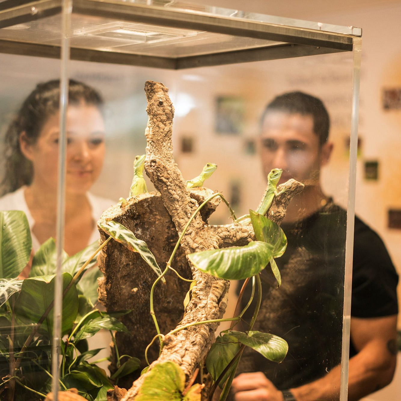 Green Planet Dubai Tickets