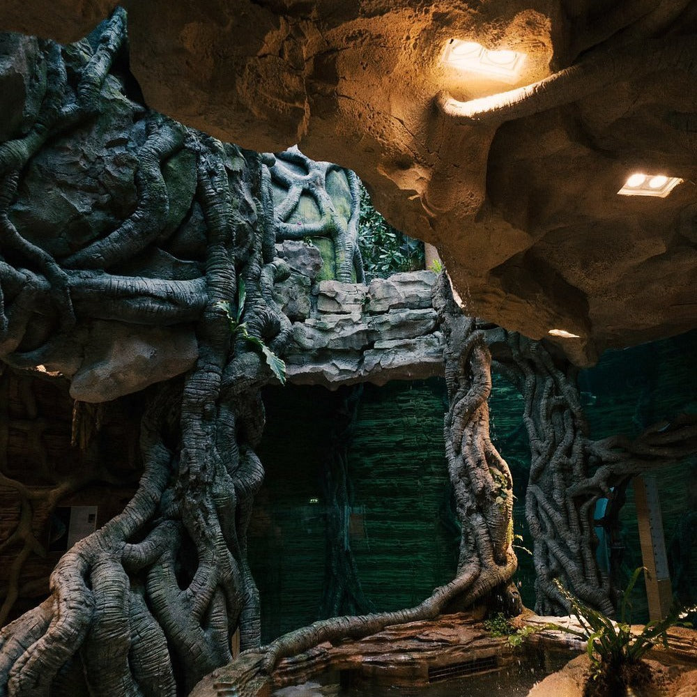 Green Planet Dubai Tickets