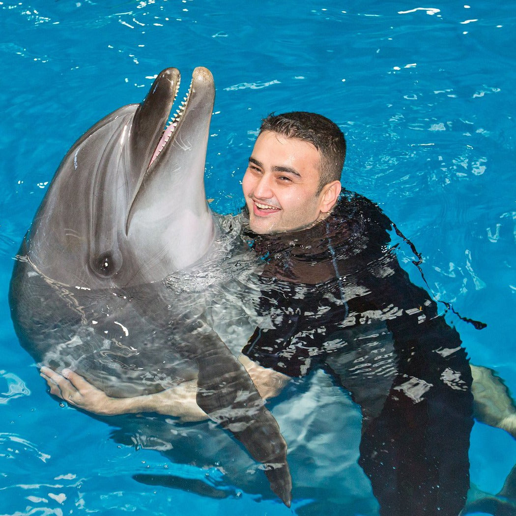 Dubai Dolphinarium Tickets