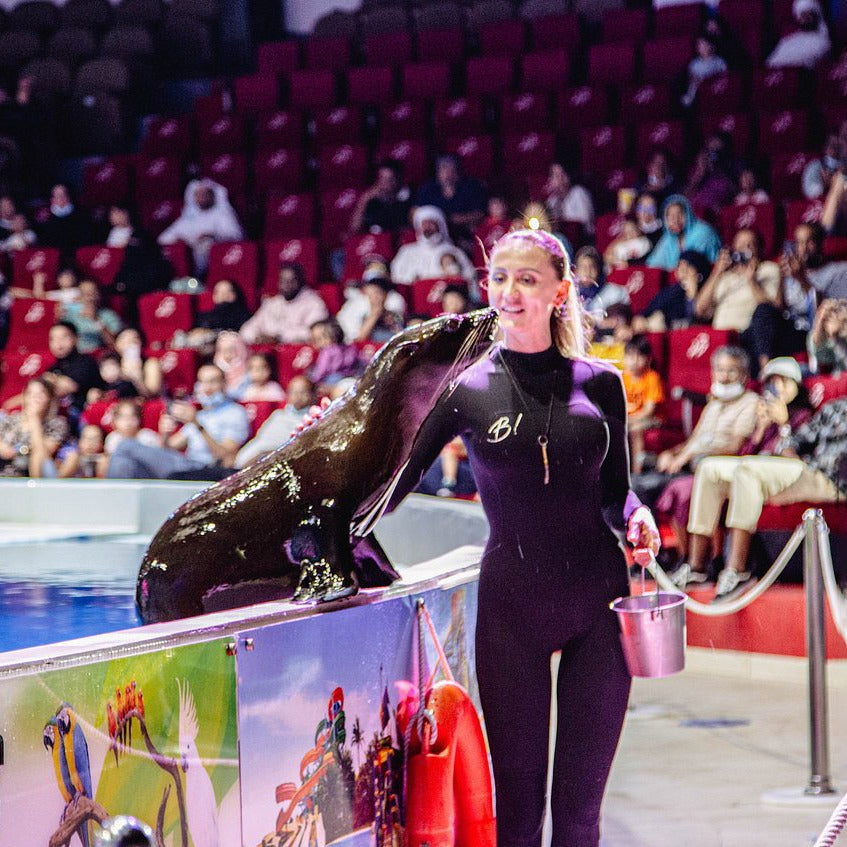 Dubai Dolphinarium Tickets