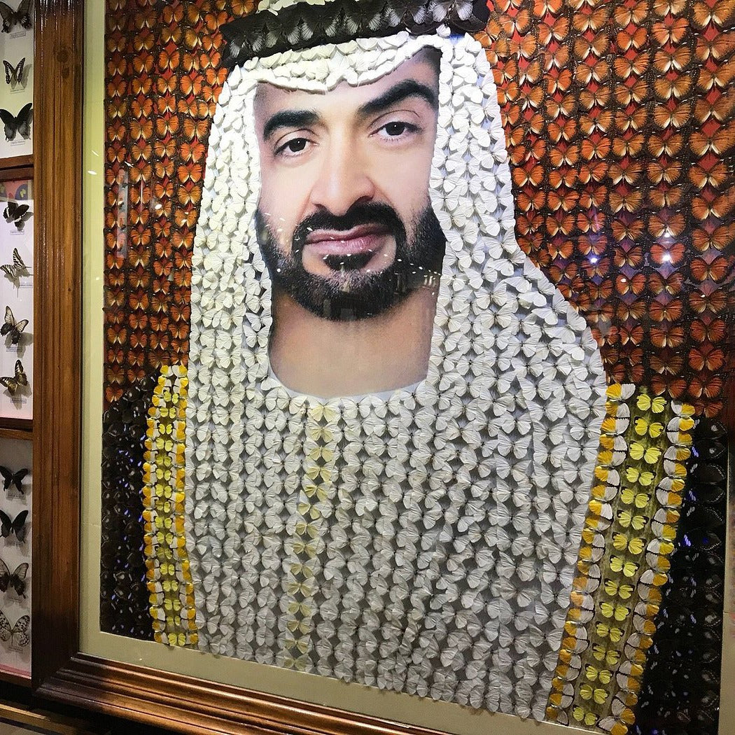 Dubai Butterfly Garden Tickets