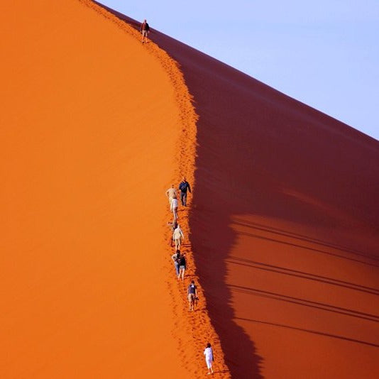 6 Emirates Tour in 1 Day