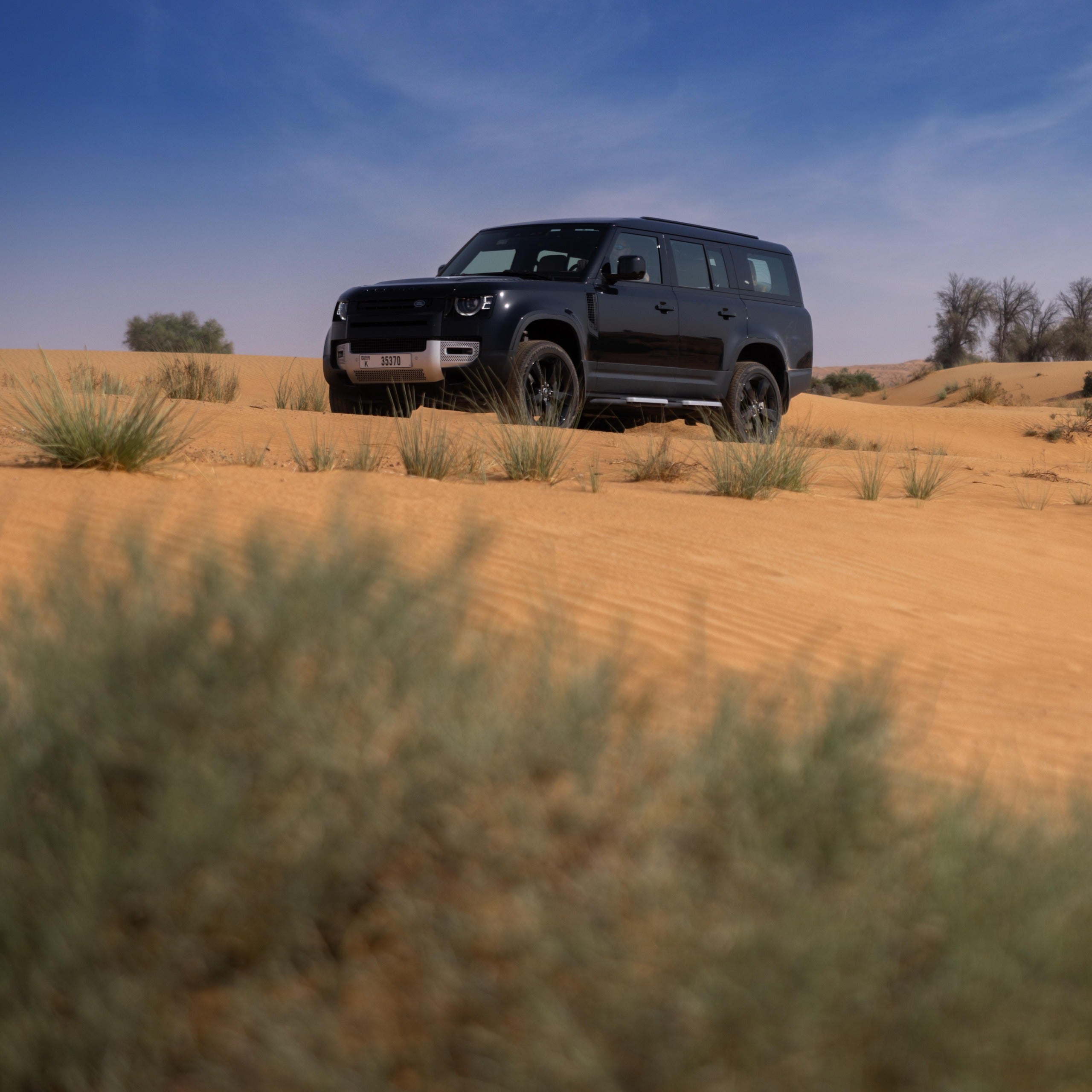 Platinum Desert Safari