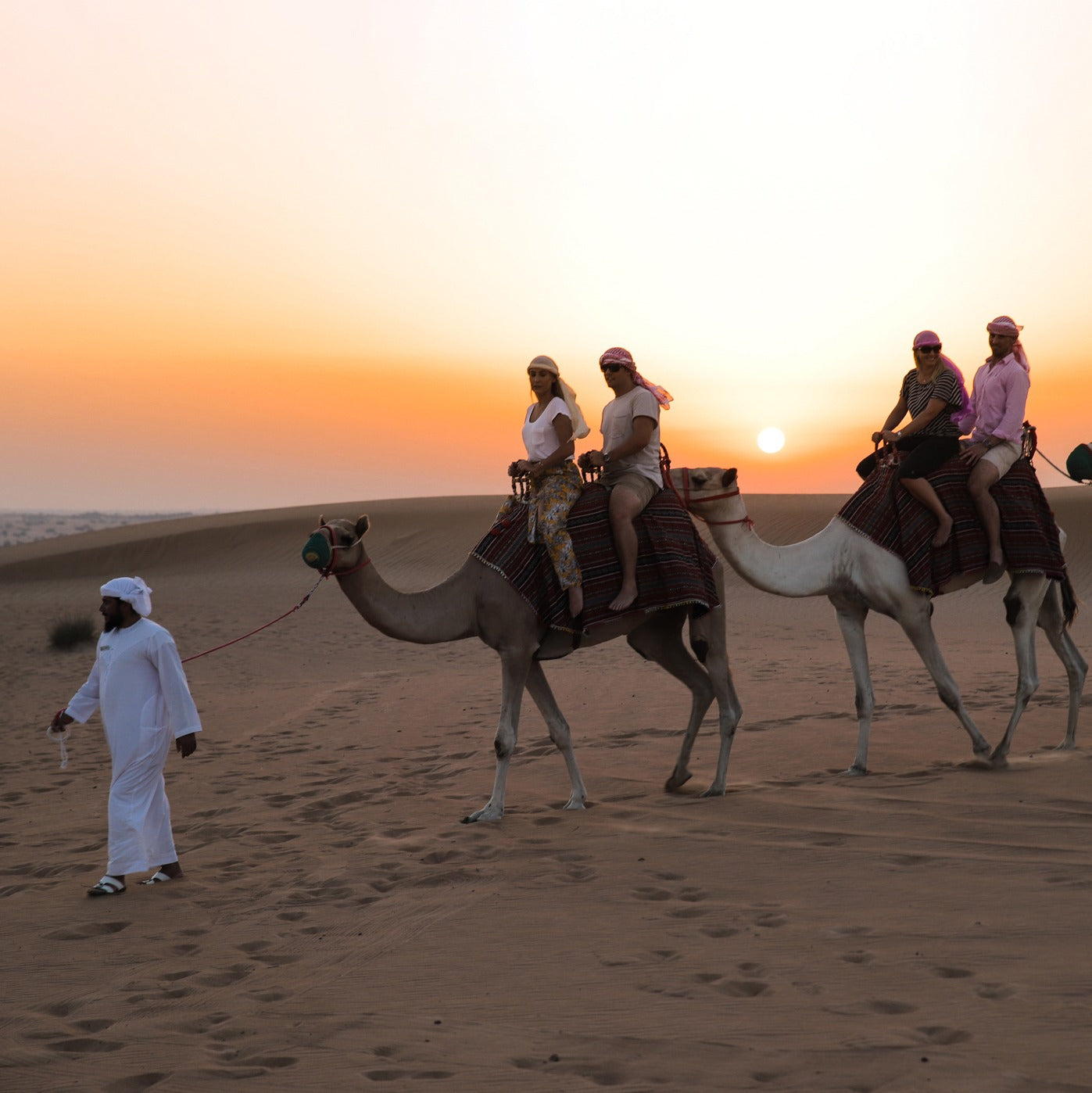 Platinum Desert Safari