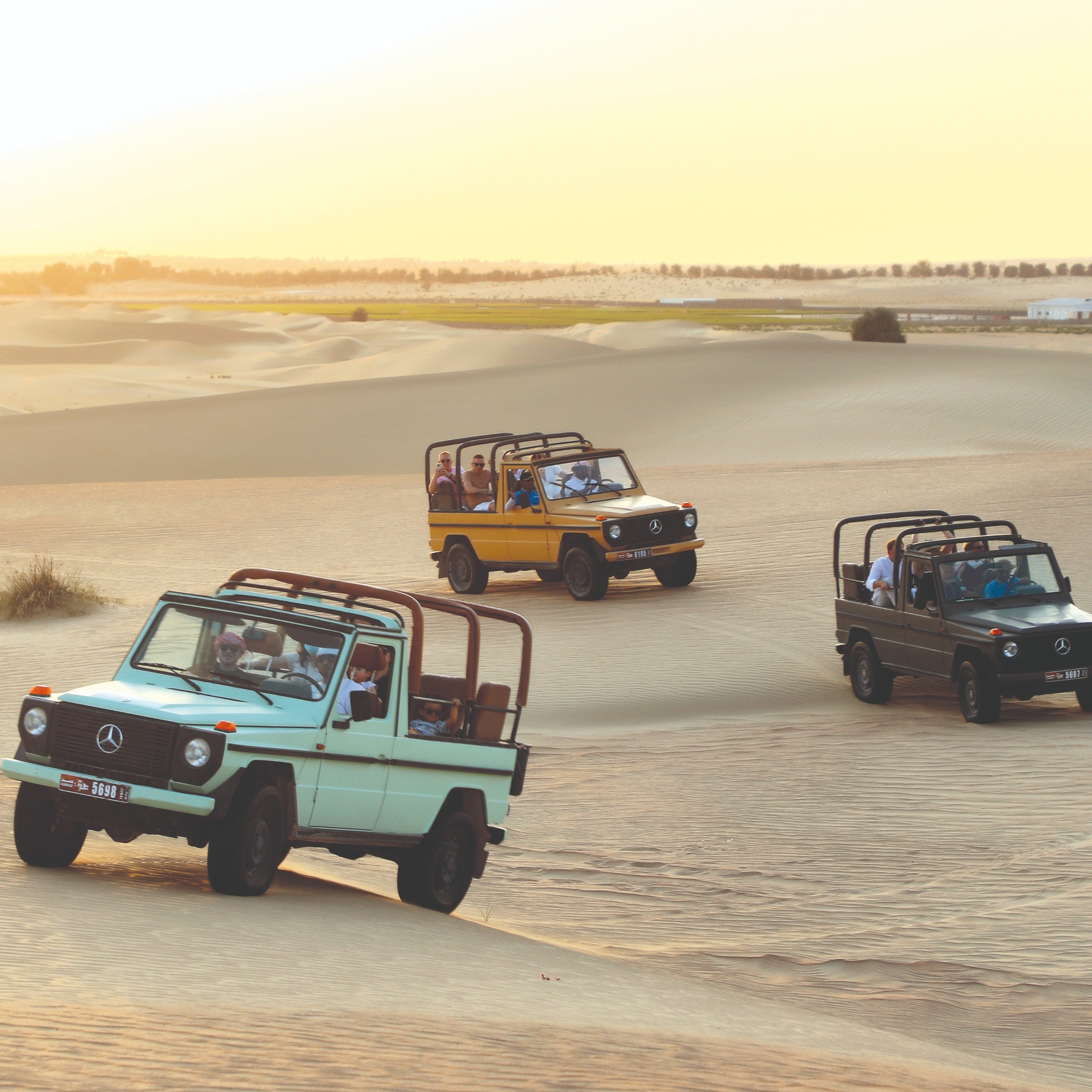 King Desert Safari