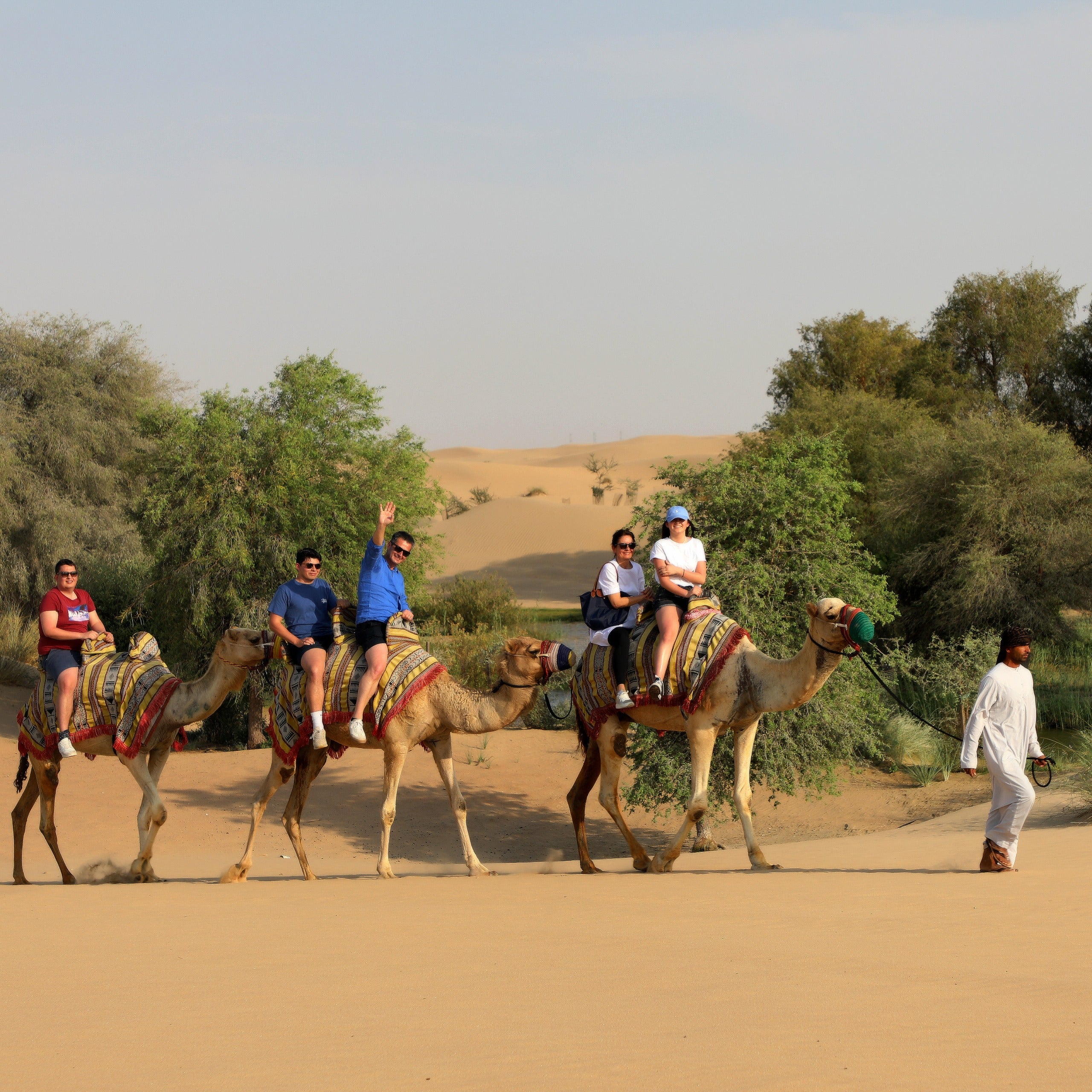 King Desert Safari
