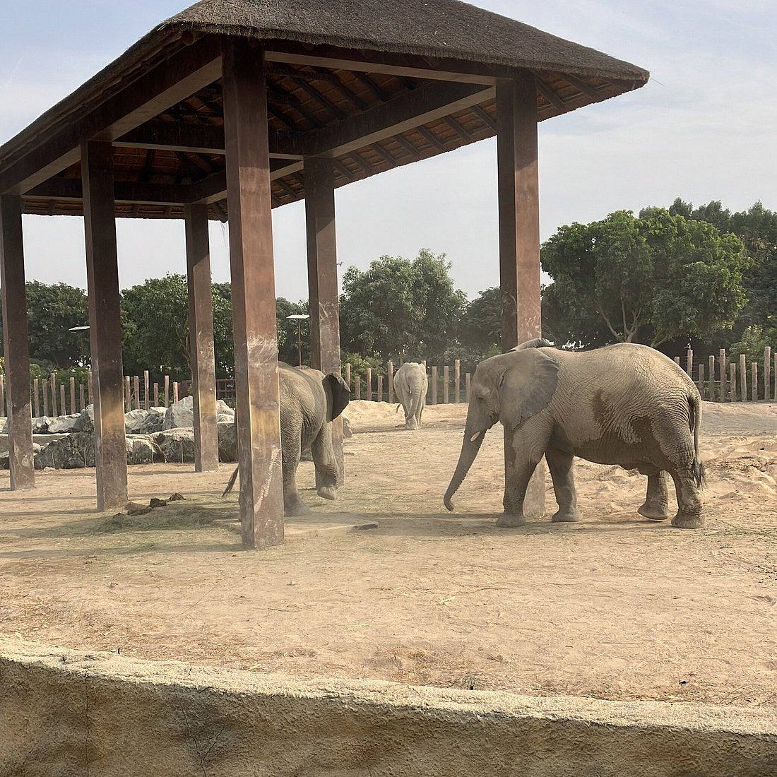 Safari Park Dubai Tickets