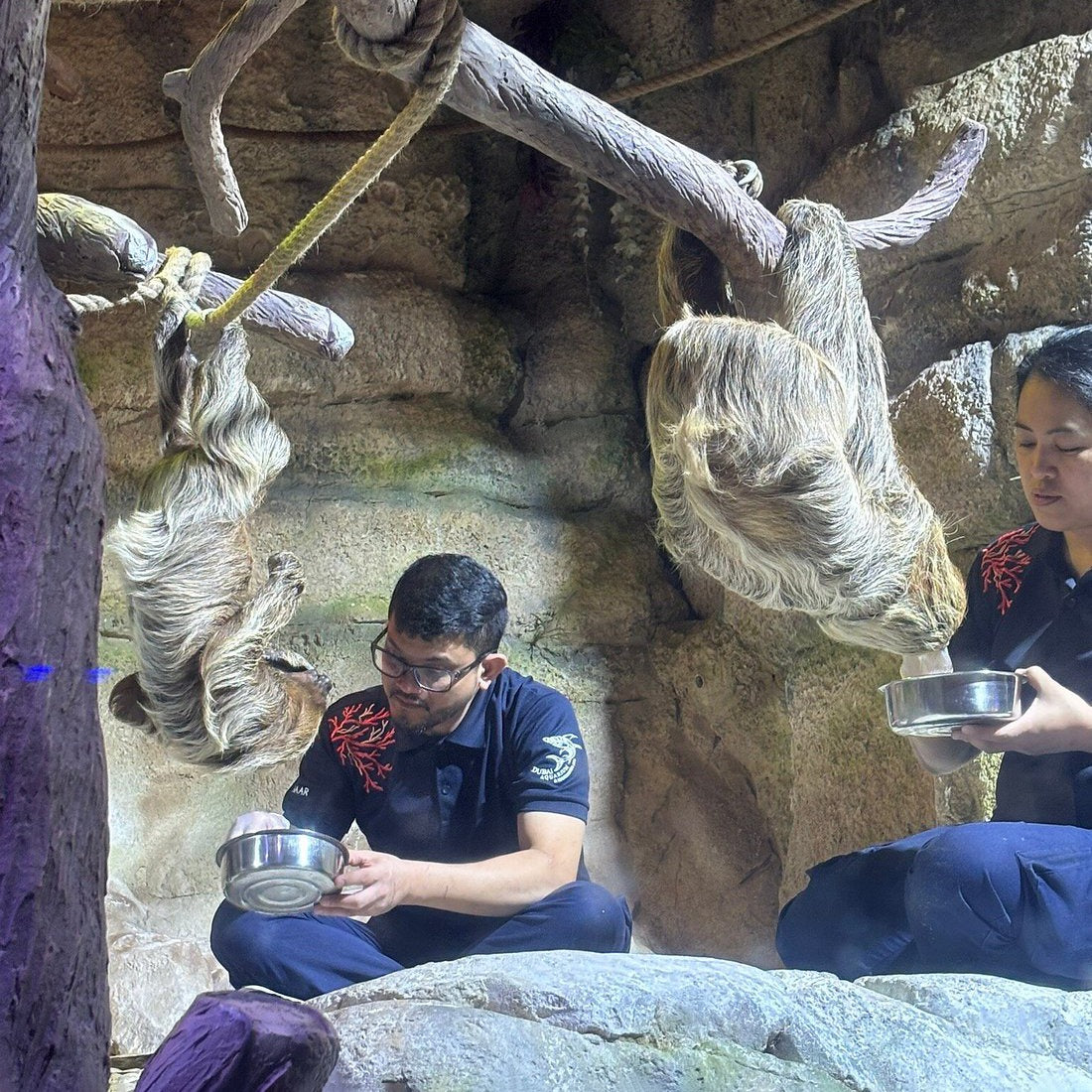 Dubai Aquarium and Underwater Zoo Tickets