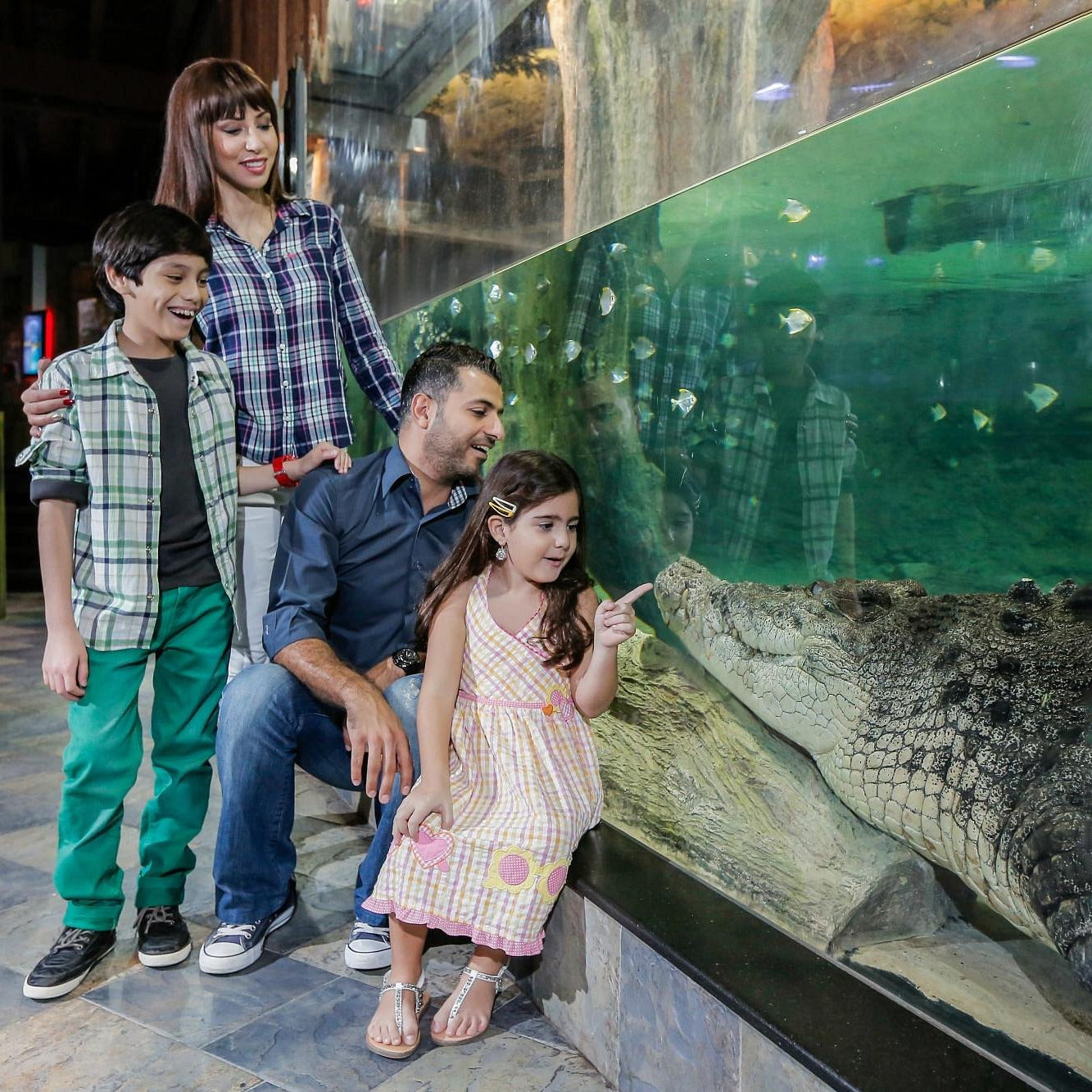 Dubai Aquarium and Underwater Zoo Tickets