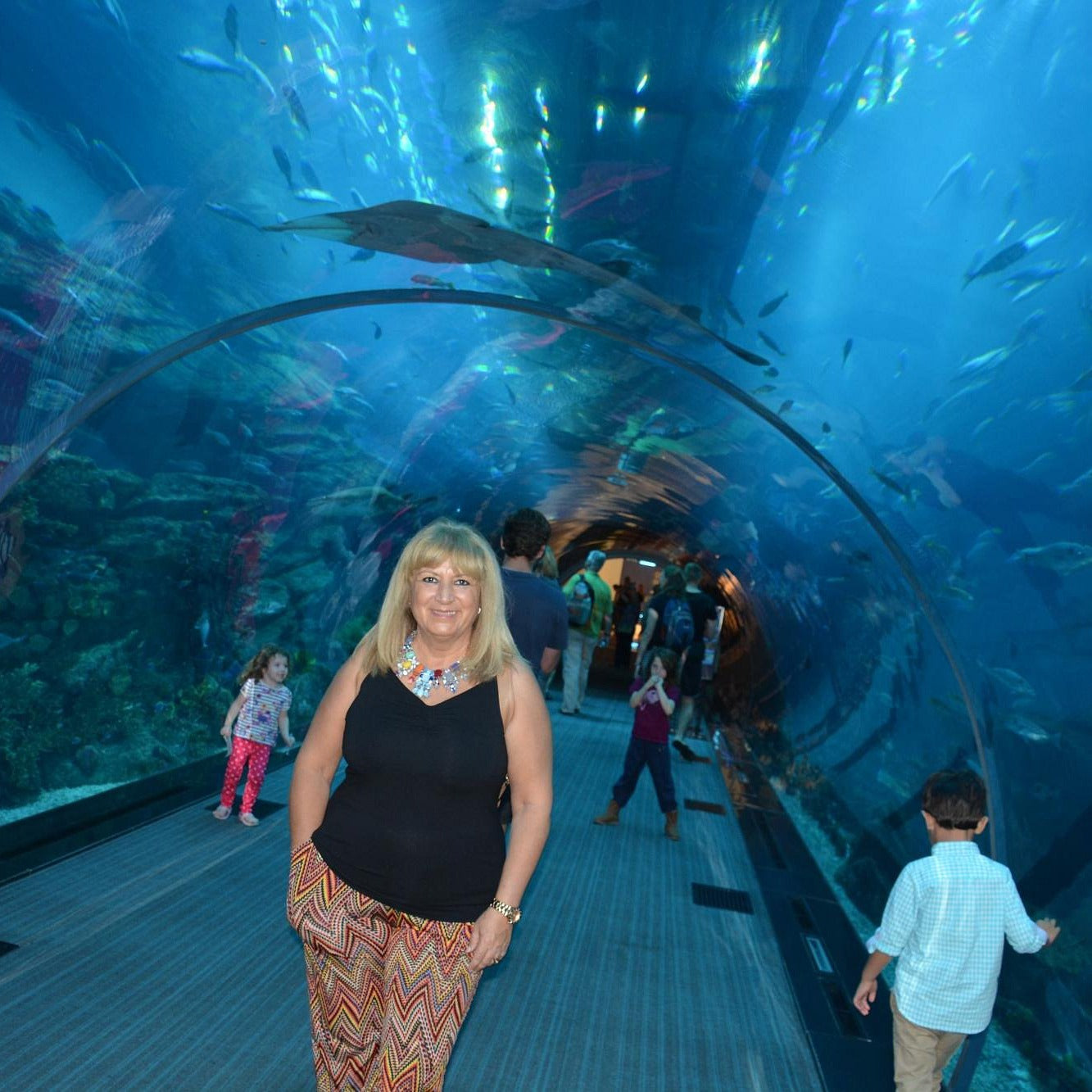 Dubai Aquarium and Underwater Zoo Tickets