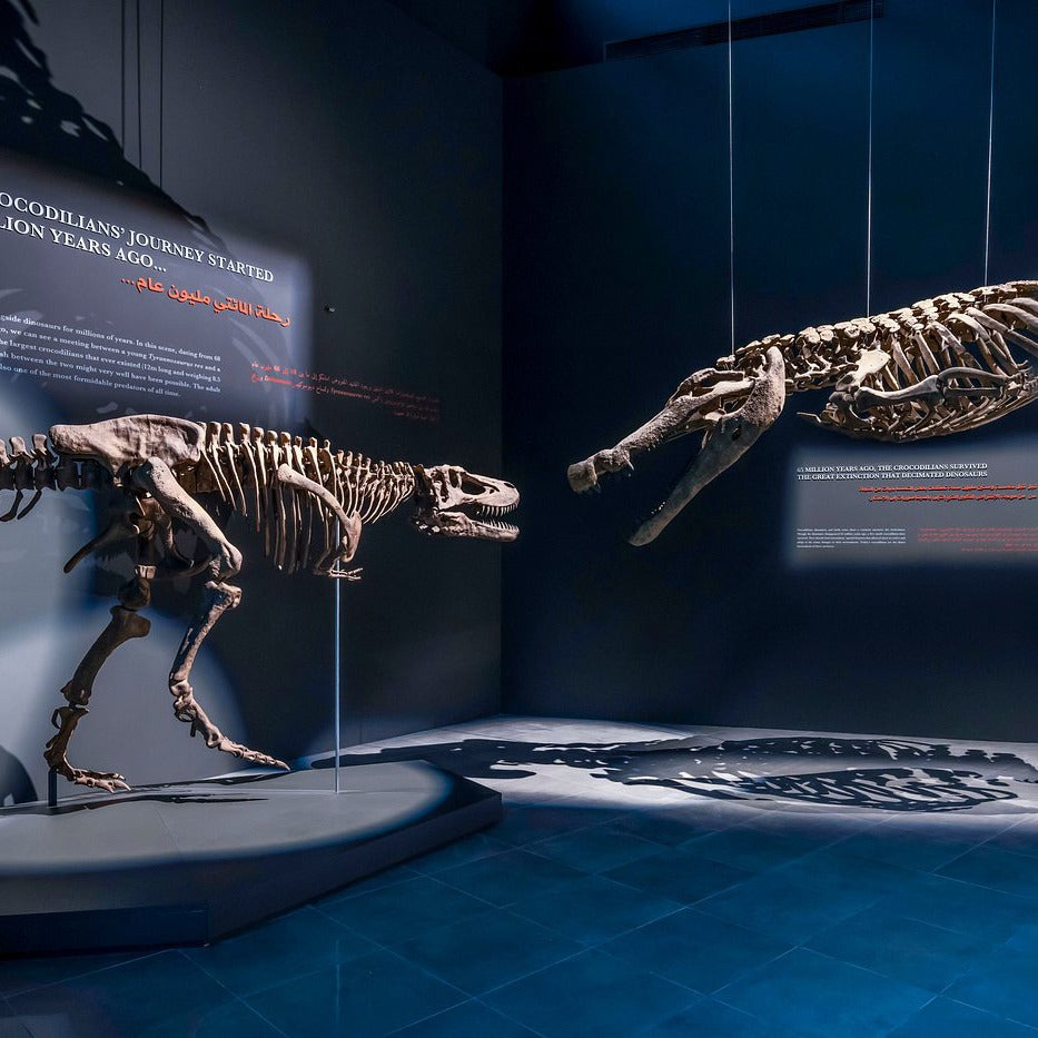 Crocodile Park Dubai Tickets