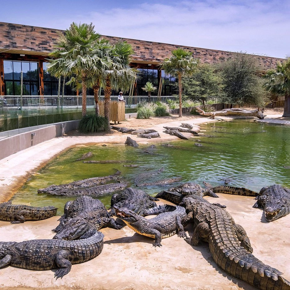 Crocodile Park Dubai Tickets