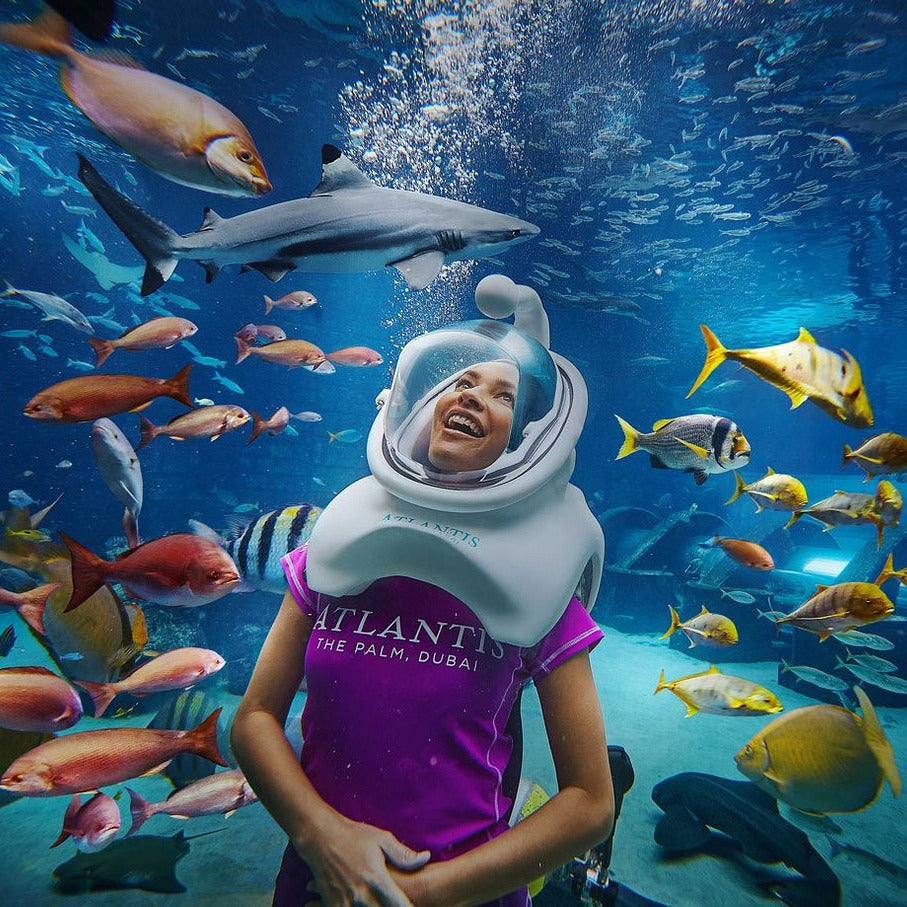 Lost Chambers Aquarium Dubai Tickets