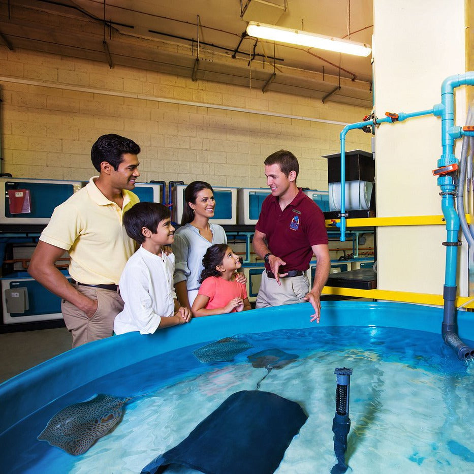 Lost Chambers Aquarium Dubai Tickets