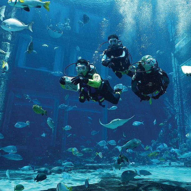 Lost Chambers Aquarium Dubai Tickets