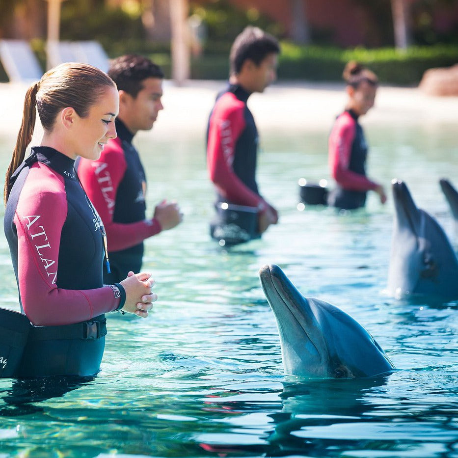 Dolphin Bay Dubai Tickets