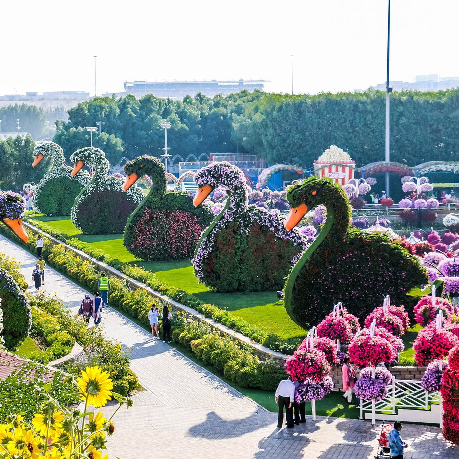 Dubai Miracle Garden Tickets