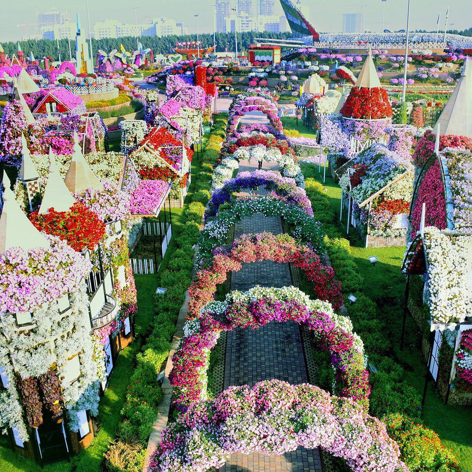 Dubai Miracle Garden Tickets
