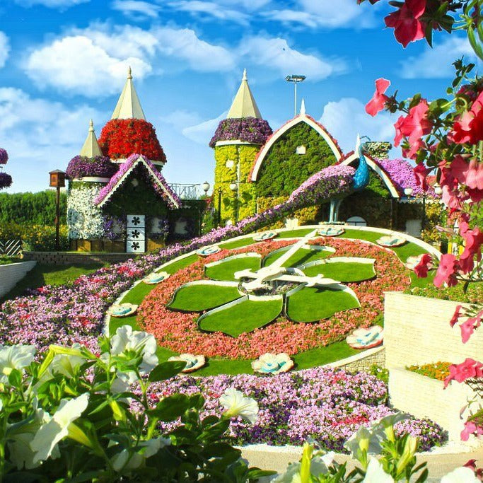 Dubai Miracle Garden Tickets