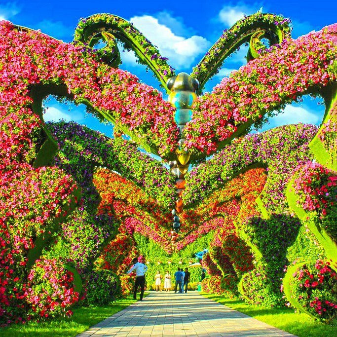 Dubai Miracle Garden Tickets