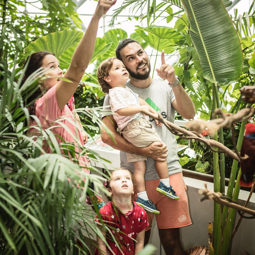 Green Planet Dubai Tickets