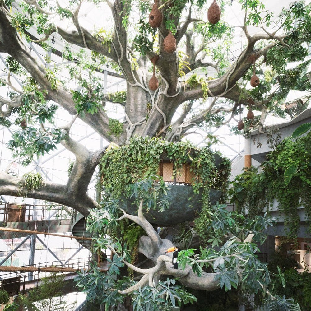 Green Planet Dubai Tickets