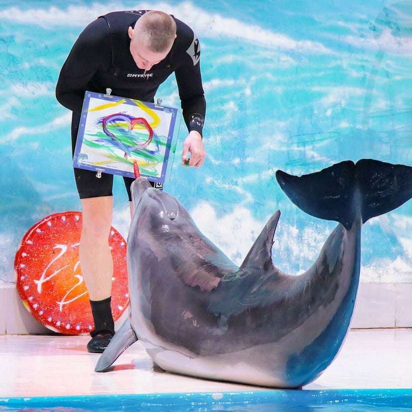 Dubai Dolphinarium Tickets