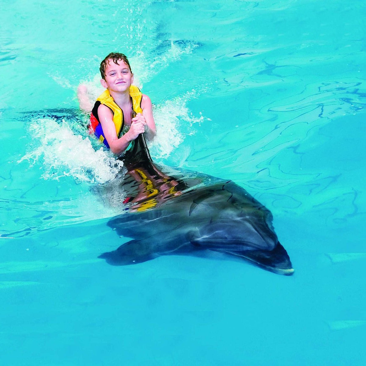 Dubai Dolphinarium Tickets