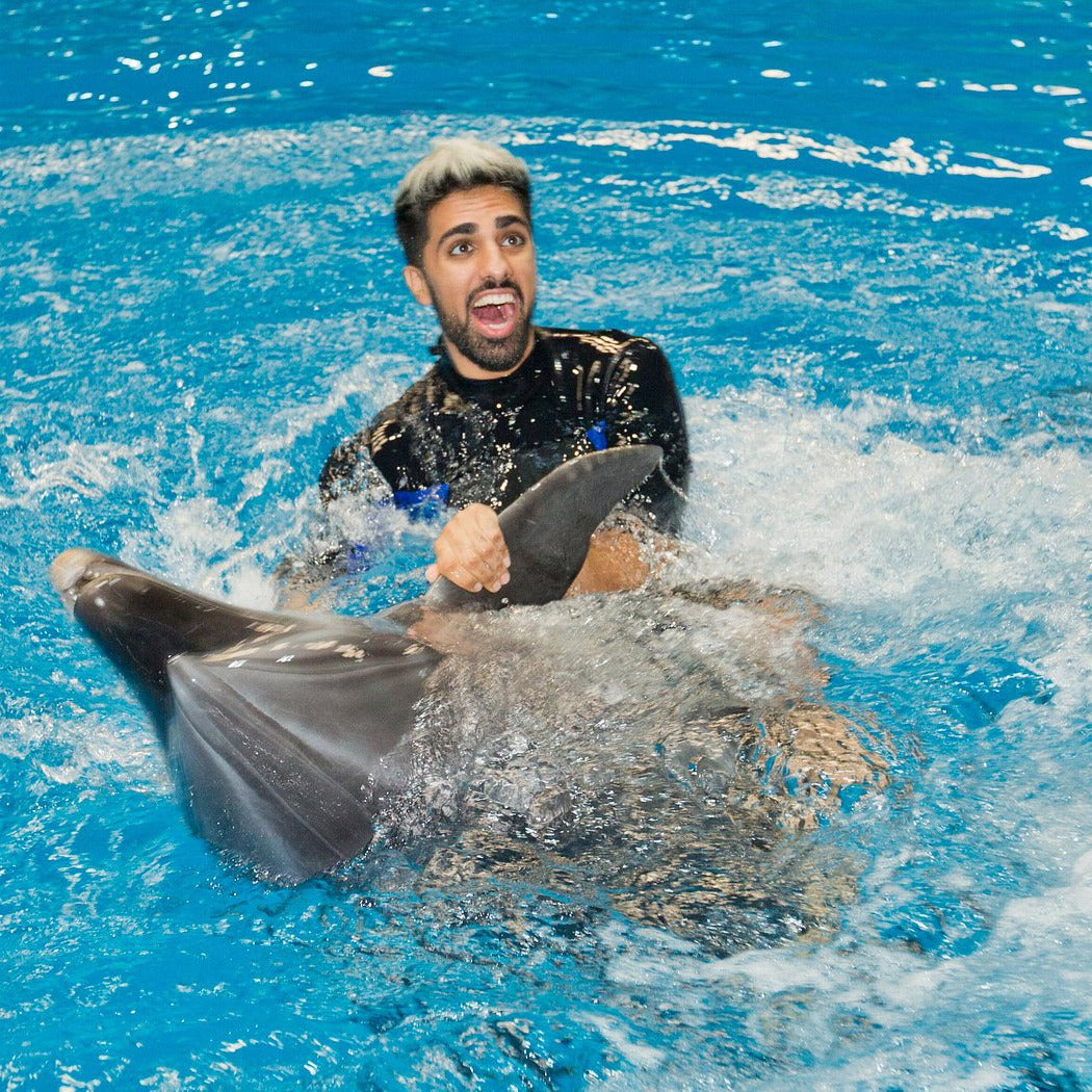 Dubai Dolphinarium Tickets